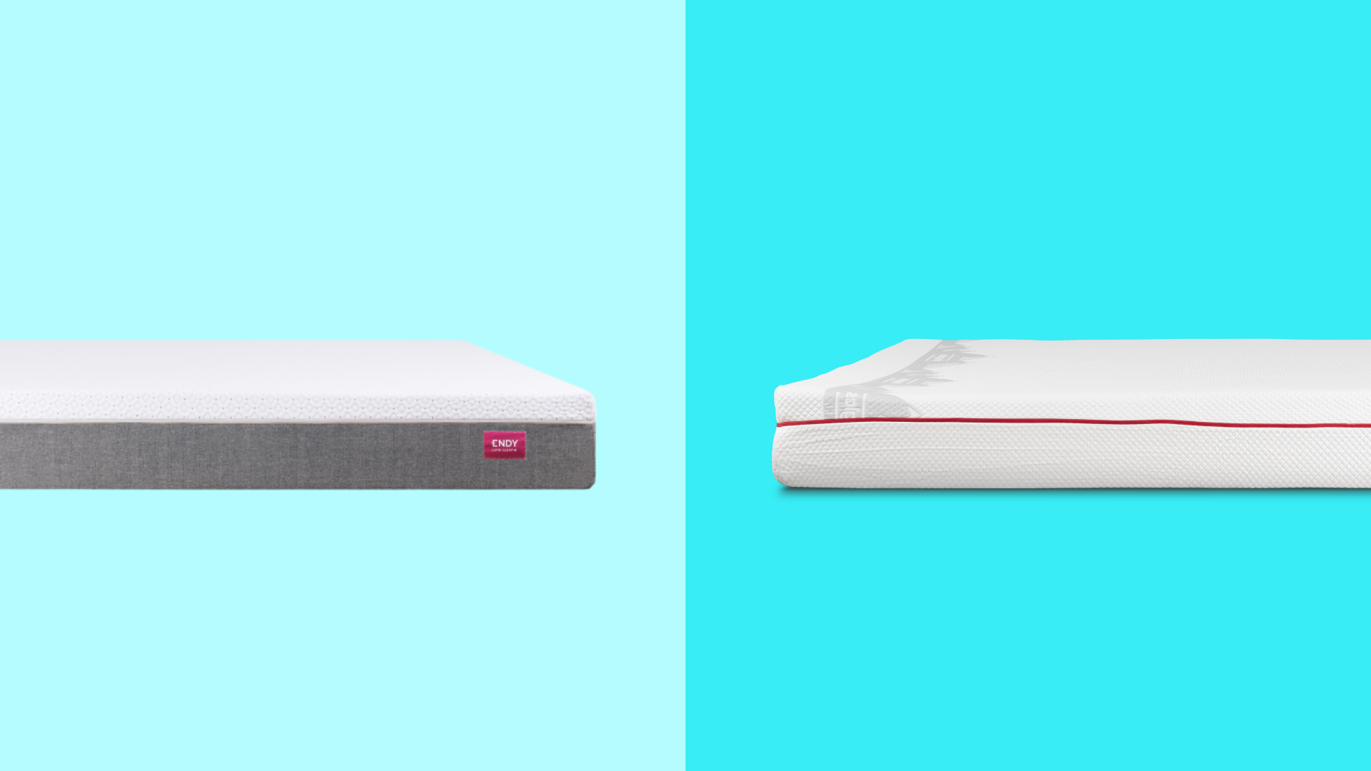 Endy vs douglas top sleep picks explore reviews from the top sleep